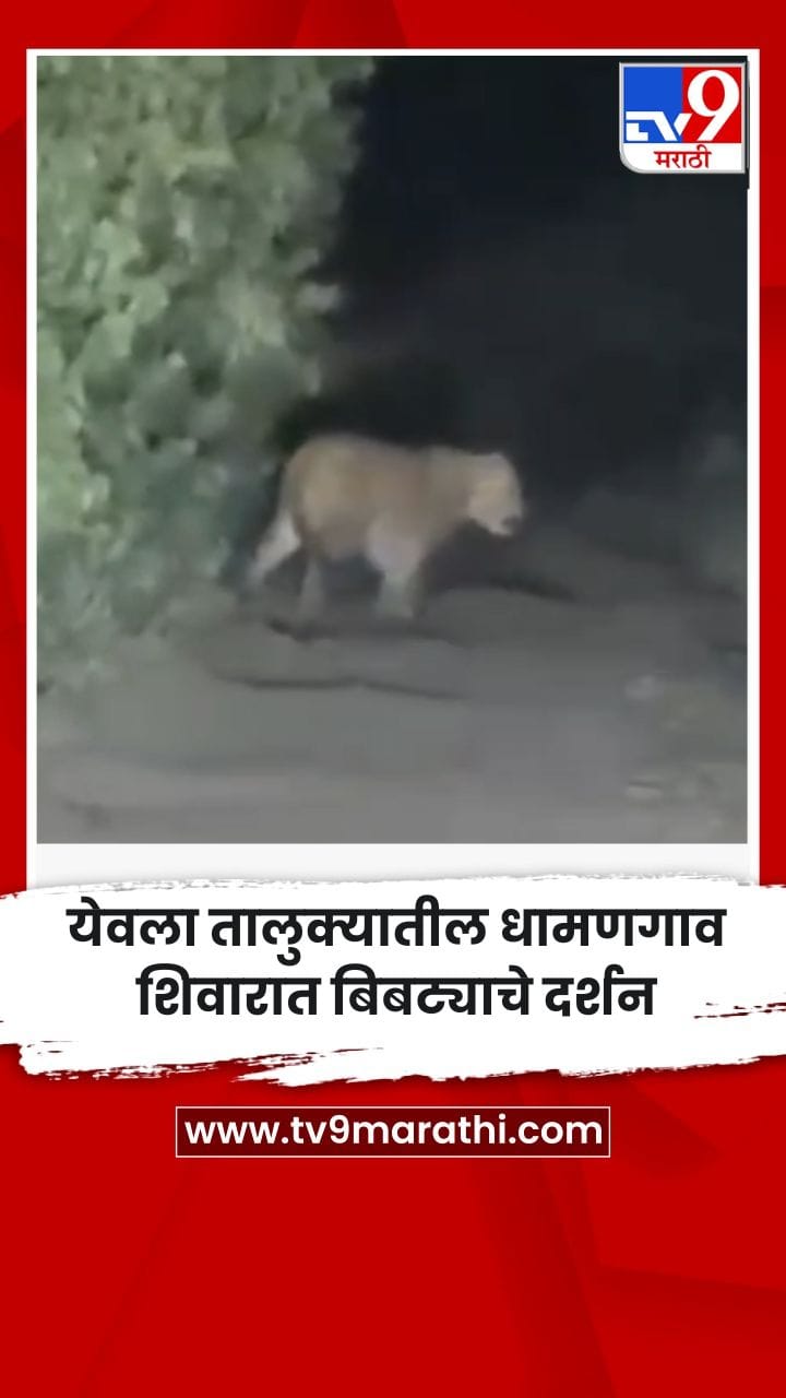 येवला तालुक्यातील धामणगाव शिवारात बिबट्याचे दर्शन-1747490