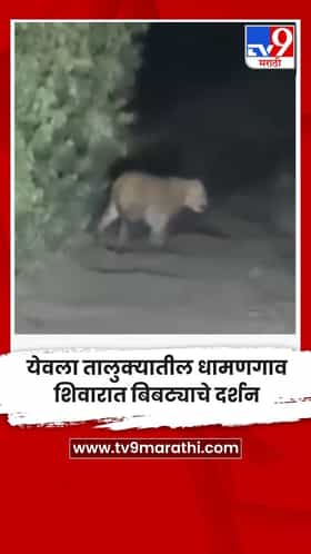 येवला तालुक्यातील धामणगाव शिवारात बिबट्याचे दर्शन