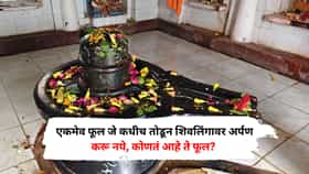 एकमेव फूल जे कधीच तोडून शिवलिंगावर अर्पण करू नये, कोणतं आहे ते फूल?