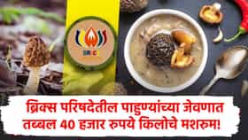ब्रिक्स शिखर परिषदेतील गुच्छी मशरूमची चर्चा, किंमत तब्बल 40 हजार रुपये किलो, विशेषता काय?
