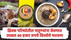 ब्रिक्स शिखर परिषदेतील गुच्छी मशरूमची चर्चा, किंमत 40 हजार रुपये किलो, विशेषता काय?