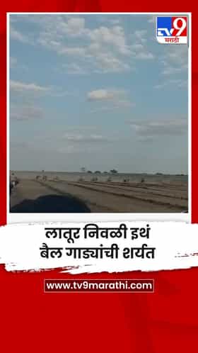 लातूर निवळी इथं बैल गाड्यांची शर्यत