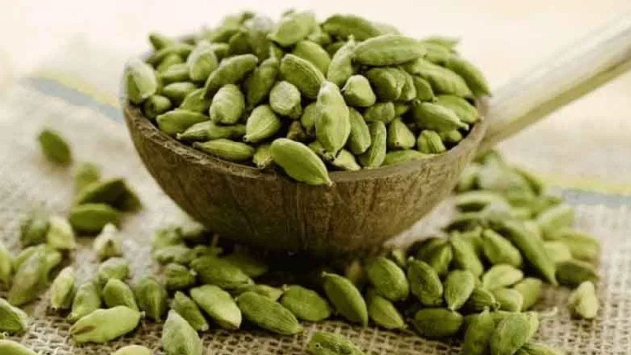 वेलचीला समजू नका केवळ माउथ फ्रेशनर! रोज चघळल्याने मिळतात ‘हे’ आश्चर्यकारक फायदे वेलचीला समजू नका केवळ माउथ फ्रेशनर! रोज चघळल्याने मिळतात ‘हे’ आश्चर्यकारक फायदे