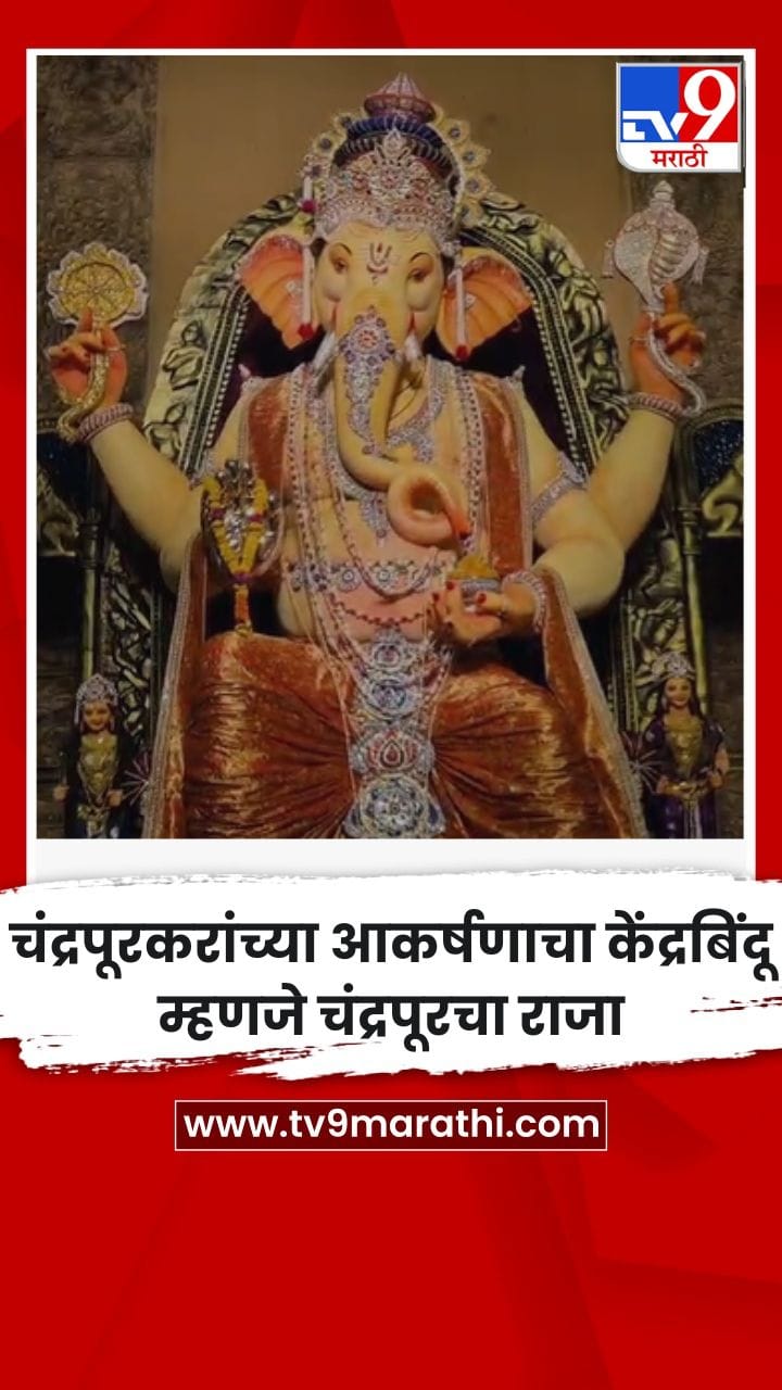 चंद्रपूरकरांच्या आकर्षणाचा केंद्रबिंदू म्हणजे चंद्रपूरचा राजा-1762030