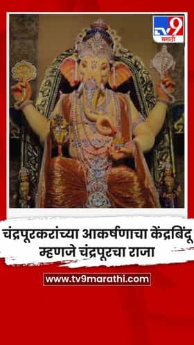 चंद्रपूरकरांच्या आकर्षणाचा केंद्रबिंदू म्हणजे चंद्रपूरचा राजा