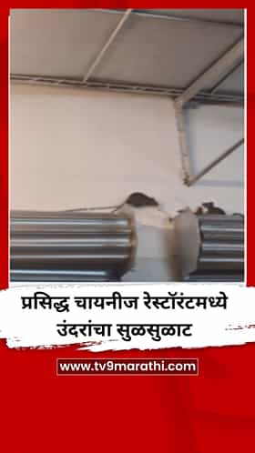 मुंबईत प्रसिद्ध चायनीज रेस्टॉरंटमध्ये उंदरांचा सुळसुळाट