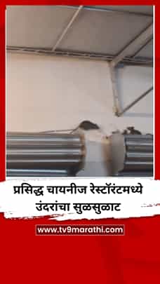 मुंबईत प्रसिद्ध चायनीज रेस्टॉरंटमध्ये उंदरांचा सुळसुळाट-1767592