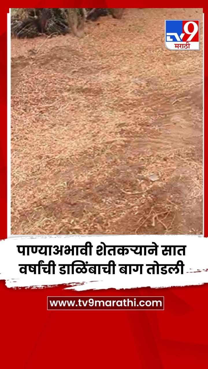 पाण्याअभावी शेतकऱ्याने सात वर्षांची डाळिंबाची बाग तोडली-1755964
