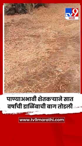 पाण्याअभावी शेतकऱ्याने सात वर्षांची डाळिंबाची बाग तोडली