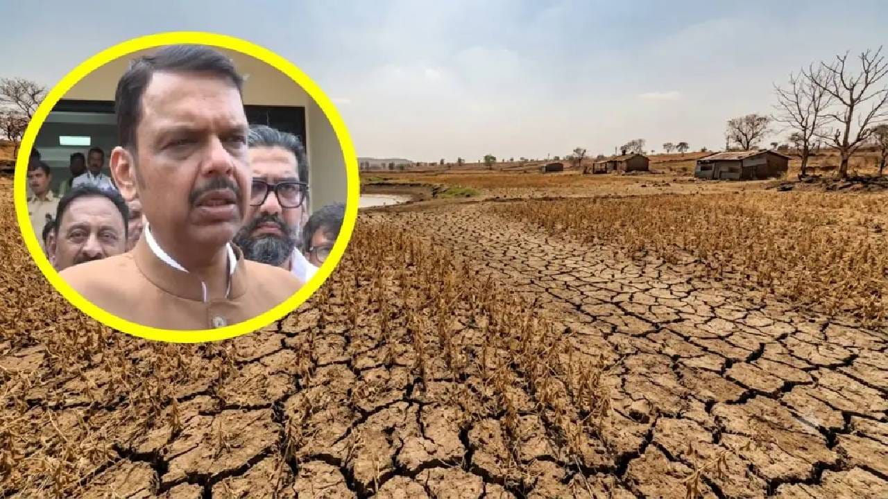 सर्वात मोठी बातमी ! अखेर राज्यात दुष्काळ जाहीर... देवेंद्र फडणवीस यांचा मोठा निर्णय; शेतकऱ्यांना दिलासा सर्वात मोठी बातमी ! अखेर राज्यात दुष्काळ जाहीर... देवेंद्र फडणवीस यांचा मोठा निर्णय; शेतकऱ्यांना दिलासा