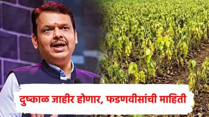 मोठी बातमी! राज्यात दुष्काळ जाहीर होणार, थेट फडणवीसांकडून जाहीर,.