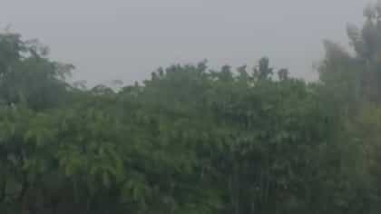 दीड महिन्यांच्या प्रतीक्षेनंतर धाराशिवमध्ये पावसाची दमदार एन्ट्री!.