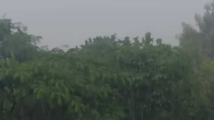 Dharashiv Rain : दीड महिन्यांच्या प्रतीक्षेनंतर धाराशिवमध्ये पावसाची दमदार एन्ट्री! शेतकऱ्यांना दिलासा, मात्र... Dharashiv Rain : दीड महिन्यांच्या प्रतीक्षेनंतर धाराशिवमध्ये पावसाची दमदार एन्ट्री! शेतकऱ्यांना दिलासा, मात्र...