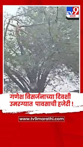 धाराशिव - उमरग्यात गणेश विसर्जनावेळी वादळी पाऊस, झाड उन्मळून 1 जखमी