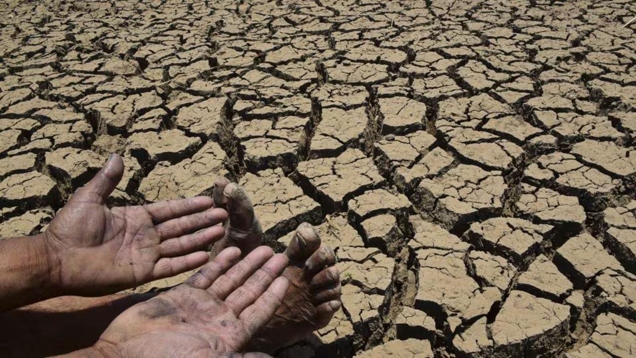 सर्वात मोठी बातमी, राज्यात दुष्काळ जाहीर होणार, तारीख आली समोर... सर्वात मोठी बातमी, राज्यात दुष्काळ जाहीर होणार, तारीख आली समोर...