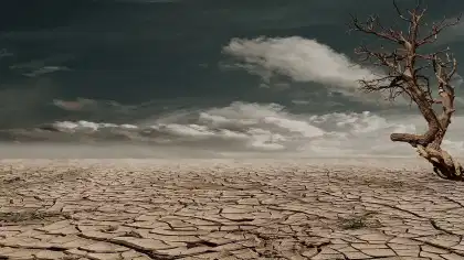 अल नीनोचं महासंकट! भारतात तब्बल 15000 लोक... टेन्शन वाढवणारी माहिती.