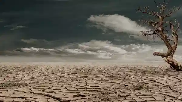 Super El Nino 2026: अल नीनोचं महासंकट! भारतात तब्बल 15000 लोक... टेन्शन वाढवणारी माहिती समोर