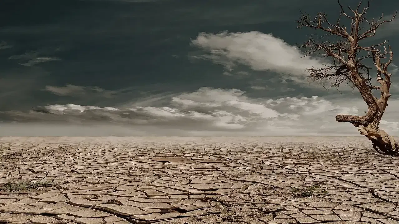 Super El Nino 2026: अल नीनोचं महासंकट! भारतात तब्बल 15000 लोक... टेन्शन वाढवणारी माहिती समोर Super El Nino 2026: अल नीनोचं महासंकट! भारतात तब्बल 15000 लोक... टेन्शन वाढवणारी माहिती समोर