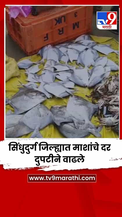 सिंधुदुर्ग जिल्ह्यात माशांचे दर दुपटीने वाढले-1765872