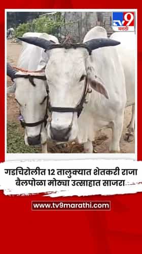 गडचिरोलीत १२ तालुक्यात शेतकरी राजा बैलपोळा मोठ्या उत्साहात साजरा