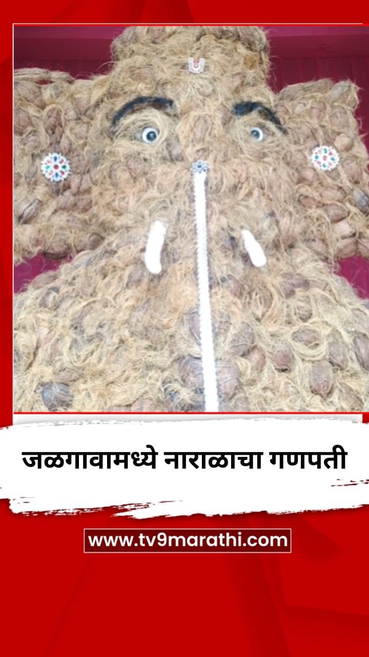 जळगावातील लक्ष्मी नगरात जय श्रीराम मित्र गणेश मंडळाने साकारला नारळाचा गणपती-1762864