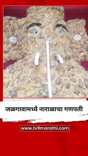 जळगावातील लक्ष्मी नगरात जय श्रीराम मित्र गणेश मंडळाने साकारला नारळाचा गणपती