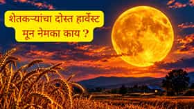 शनिवारी आभाळात दिसणार हार्वेस्ट मून, काय आहे या हार्वेस्ट मूनचे सिक्रेट ?