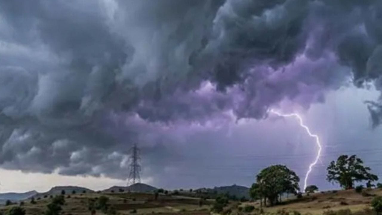  मराठवाड्यातील काही भागातही पाऊस होण्याचा अंदाज आहे. मराठवाड्यासह विदर्भात स्थिती गंभीर आहे. शेती पिके हातून गेली आहेत. पिण्याचा पाण्याचा गंभीर प्रश्न आहे. 