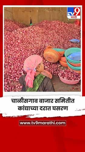 चाळीसगाव बाजार समितीत कांद्याच्या दरात घसरण