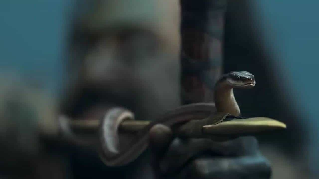 थिएटरमध्ये अपेक्षित कामगिरी केल्यानंतर काही दिवसांनी चित्रपट ओटीटी प्लॅटफॉर्मवर प्रदर्शित होतात. यामुळे निर्मात्यांना बॉक्स ऑफिस कलेक्शन आणि ओटीटी डील्स या दोन्हीमधून आर्थिक फायदा मिळतो. मात्र याचा सर्वांत मोठा फायदा त्या चित्रपटांना होतो, जे बॉक्स ऑफिसवर अपयशी ठरले. ओटीटीवर त्यांना नवसंजीवनी मिळते.
