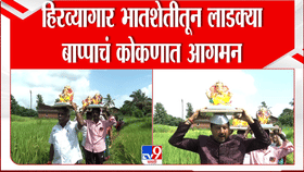 Ratnagiri Ganeshotsav | हिरव्यागार भातशेतीतून लाडक्या बाप्पाचं कोकणात आगमन, मनोरम दृश्य