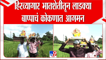 हिरव्यागार भातशेतीतून लाडक्या बाप्पाचं कोकणात आगमन, मनोरम दृश्य-1755679