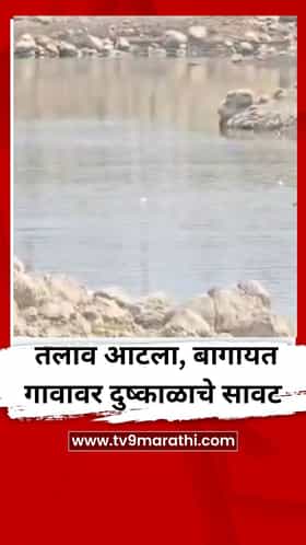 सोलापुरात निमगाव तलाव आटला, बागायत गावावर दुष्काळाचे सावट
