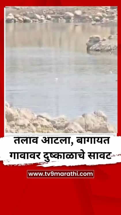 सोलापुरात निमगाव तलाव आटला, बागायत गावावर दुष्काळाचे सावट-1761203