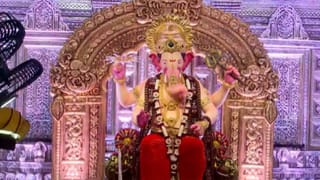 Lalbaugcha Raja First Look 2026 | ही शान कोणाची? लालबागच्या राजाची, राजाच्या प्रथम दर्शनाचा संपूर्ण व्हिडिओ बघाच
