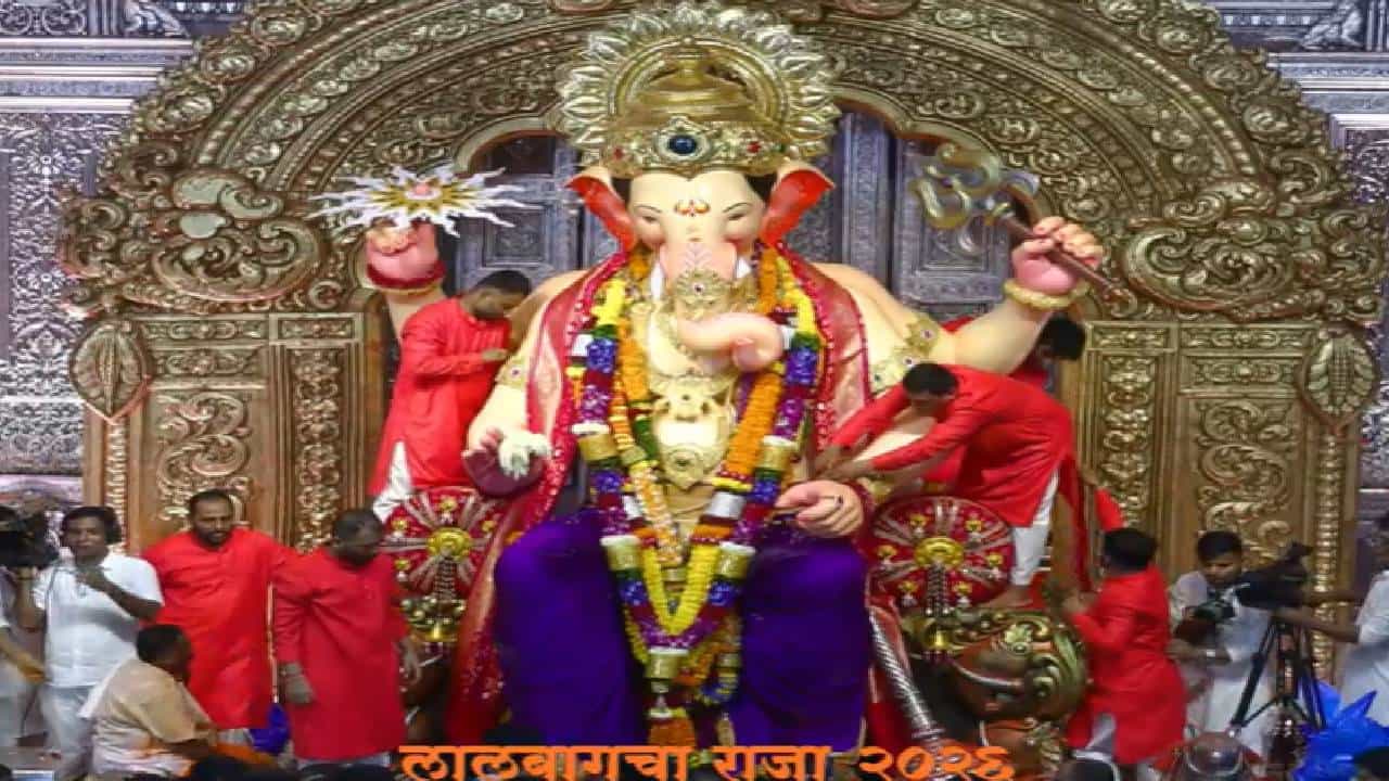 सध्या मुंबईसह राज्यभरात गणेशोत्सवाची धामधूम असून मुंबईतील प्रसिद्ध लालबागच्या राजाचं दर्शन घेण्यासाठी भाविक मोठी गर्दी करत असतात. अनेक सेलिब्रिटीही गणरायाचे दर्शन, आशीर्वाद घेण्यासाठी येत असतात. ( Photos : Lalbaugcha Raja Sarvajanik Ganeshotsav Mandal)