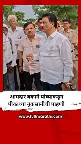 आमदार बकाने यांच्याकडून पीकांच्या नुकसानीची पाहणी