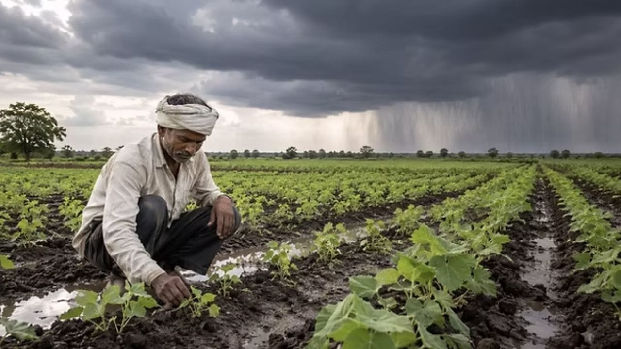 या तारखेपर्यंत पावसाची पहावी लागणार वाट, त्यानंतर मध्य भारतात पावसाच्या सरी बरसणार या तारखेपर्यंत पावसाची पहावी लागणार वाट, त्यानंतर मध्य भारतात पावसाच्या सरी बरसणार