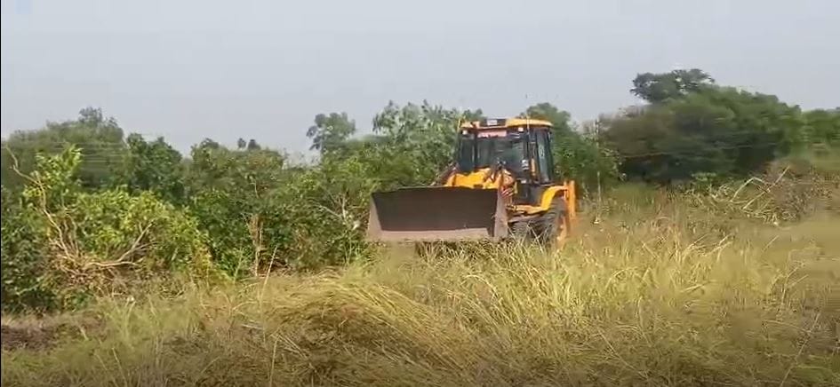 वर्षानुवर्षे तळहाताच्या फोडाप्रमाणे आणि पोटच्या पोरासारखी जपलेली बाग पाण्याअभावी अक्षरशः जमीनदोस्त करण्यात आली. पिकाला जगवण्यासाठी पाणीच उपलब्ध नसल्याने अखेर नाईलाजाने शेतकऱ्याने बागेवर जेसीबी फिरवला.
