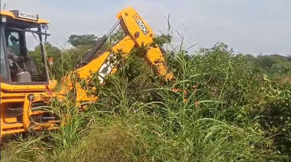 मराठवाड्यातील दुष्काळाची दाहकता आता शेतकऱ्यांच्या डोळ्यांसमोर दिसून येतेय. छत्रपती संभाजीनगर जिल्ह्यातील आडगाव बुद्रुक येथील शेतकरी संदीप वाघ यांच्यावर पाण्याअभावी आपल्या दीड एकर मोसंबीची बाग जेसीबीने काढून टाकण्याची वेळ आली.
