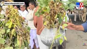 Nanded | नांदेडमध्ये दुष्काळग्रस्तांची दहीहंडी! दीड महिन्यापासून पाऊस गायब; शेतकऱ्यांनी चौकात मांडली करपलेल्या पिकांची व्यथा