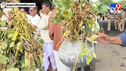 नांदेडमध्ये दुष्काळग्रस्तांची दहीहंडी! दीड महिन्यापासून पाऊस गायब...-1755826