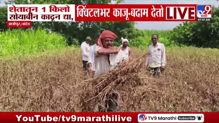 Viral Video : माझ्या शेतातून एक किलो सोयाबीन काढून दाखवा, नाहीतर... संतप्त शेतकऱ्याचं सरकारला आव्हान Viral Video : माझ्या शेतातून एक किलो सोयाबीन काढून दाखवा, नाहीतर... संतप्त शेतकऱ्याचं सरकारला आव्हान
