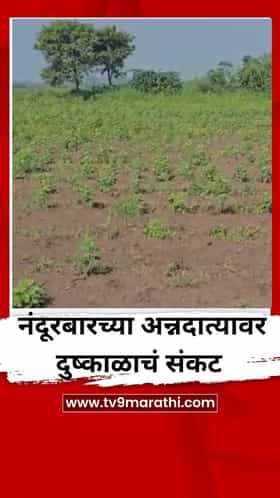 नंदूरबारच्या अन्नदात्यावर दुष्काळाचं संकट