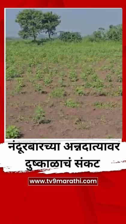 नंदूरबारच्या अन्नदात्यावर दुष्काळाचं संकट-1761182