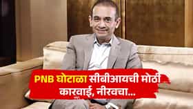मोठी बातमी! कोट्यवधीचा घोटाळा करणाऱ्या नीरव मोदीचा साथीदार सीबीआयला सुपूर्द, UAEतून प्रत्यार्पण