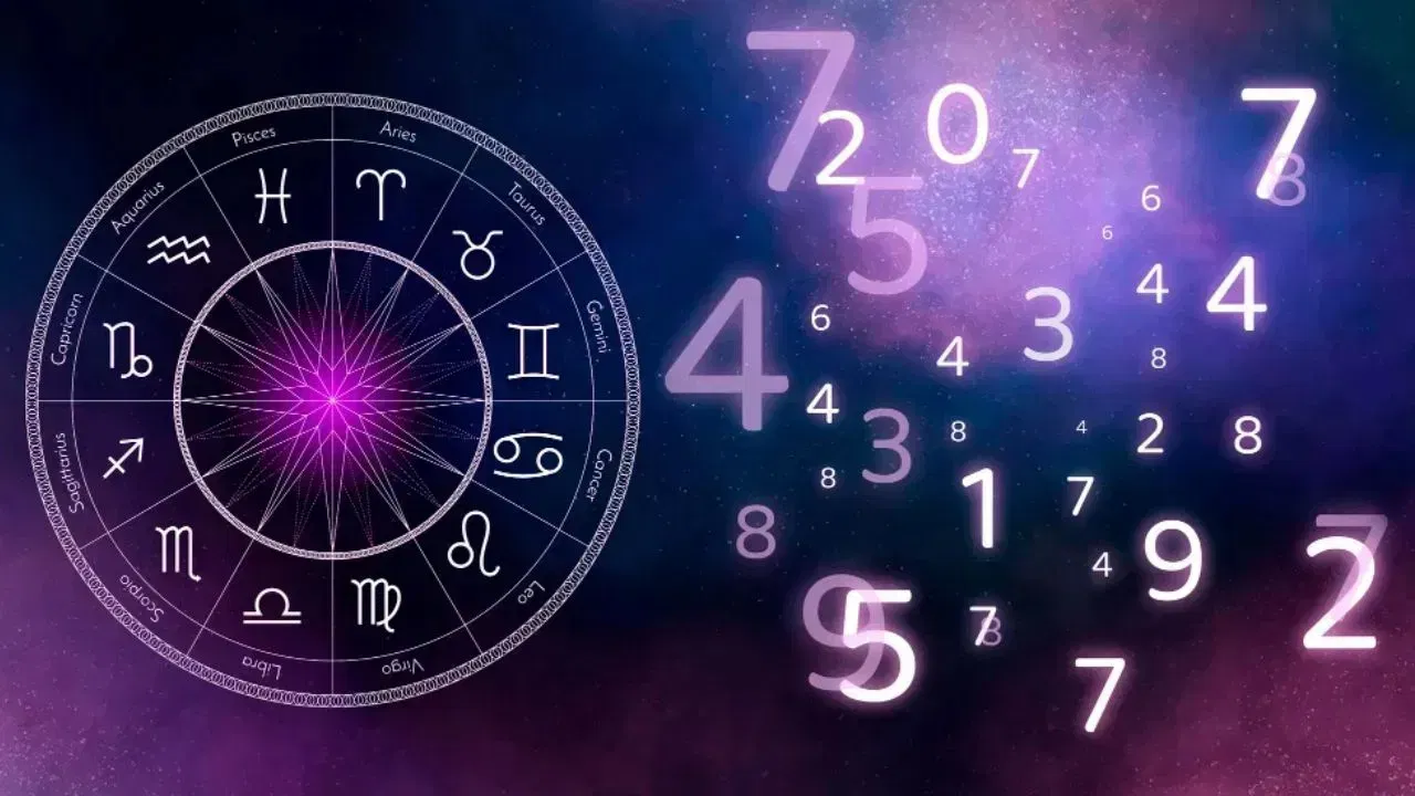 Numerology: तुमचा मूलांक काय सांगतो? जन्मतारखेत दडलंय व्यक्तिमत्त्वाचं गुपित Numerology: तुमचा मूलांक काय सांगतो? जन्मतारखेत दडलंय व्यक्तिमत्त्वाचं गुपित