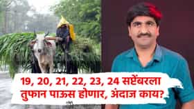 19, 20, 21, 22, 23, 24 सप्टेंबरला धो-धो पाऊस होणार, पंजाबराव डाख यांचा महत्त्वाचा हवामान अंदाज आला!