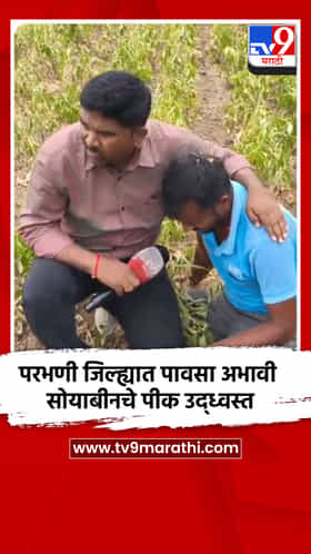 परभणी जिल्ह्यात पावसा अभावी सोयाबीनचे पीक उद्ध्वस्त