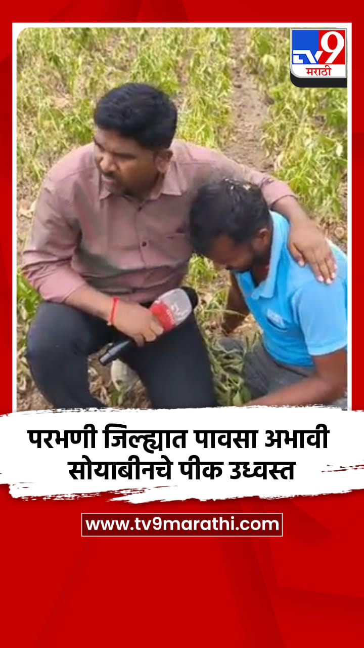परभणी जिल्ह्यात पावसा अभावी सोयाबीनचे पीक उध्वस्त-1747653